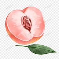 WWW,63jjj·COM网站APPAPP应用