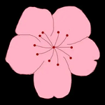 来电语音直播APP应用