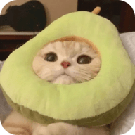17c入口官方版APP应用